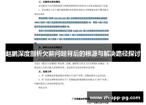 赵鹏深度剖析欠薪问题背后的根源与解决路径探讨